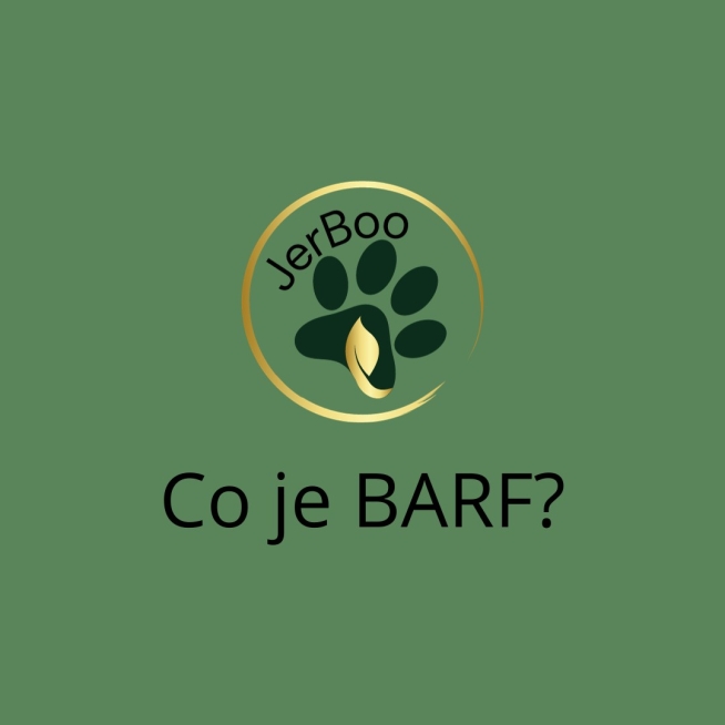 Co je BARF? 9.1.2024 Co je BARF? 9.1.2024