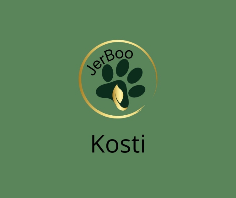 Kosti. 26.1.2024 Kosti. 26.1.2024