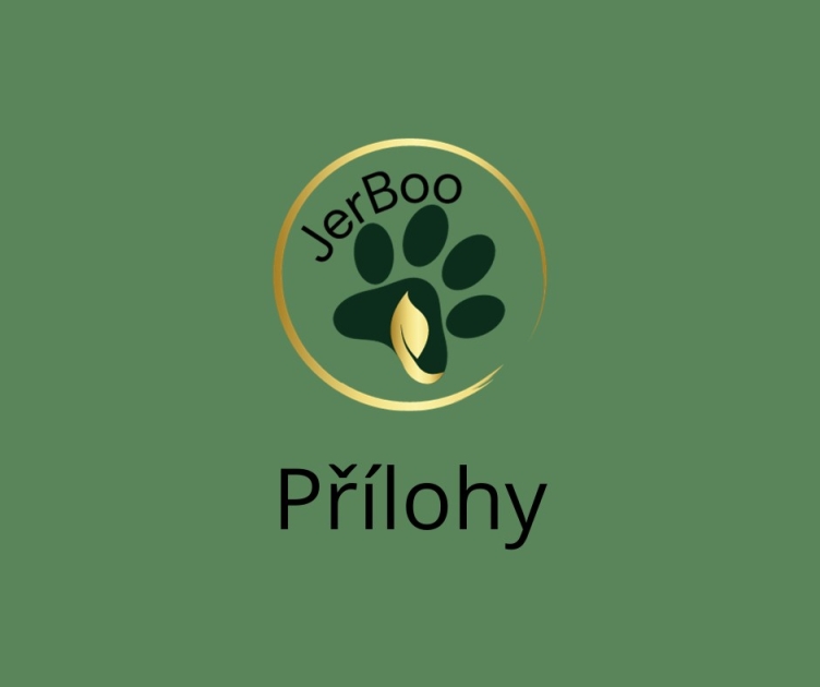 Přílohy. 4.3.2024 Přílohy. 4.3.2024