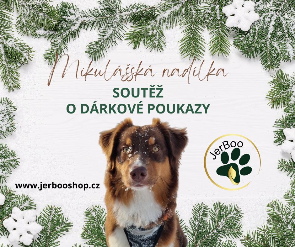 Mikulášská nadílka Mikulášská nadílka